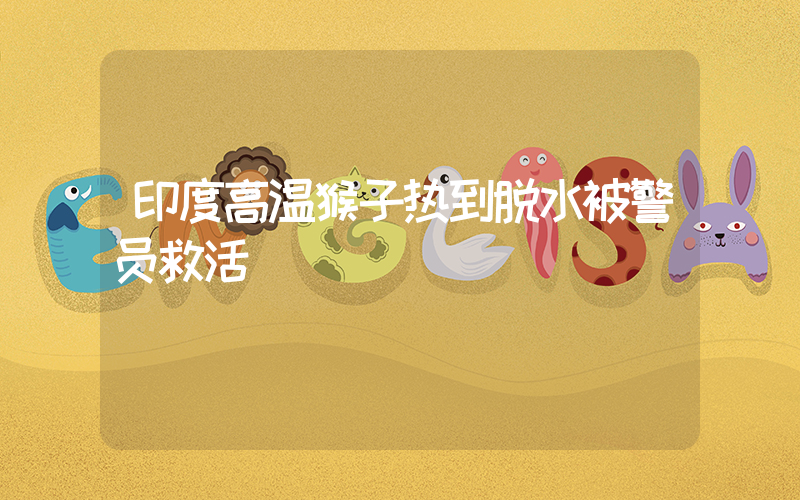 印度高温猴子热到脱水被警员救活插图