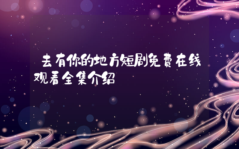 去有你的地方短剧免费在线观看全集介绍插图