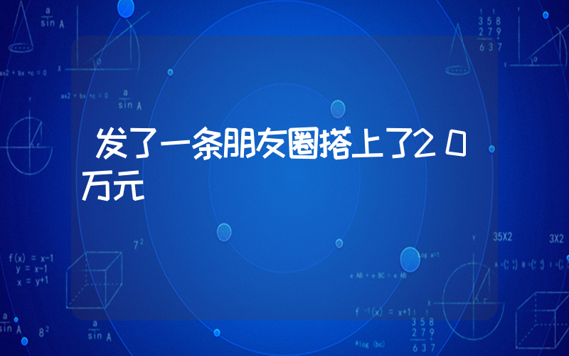 发了一条朋友圈搭上了20万元插图