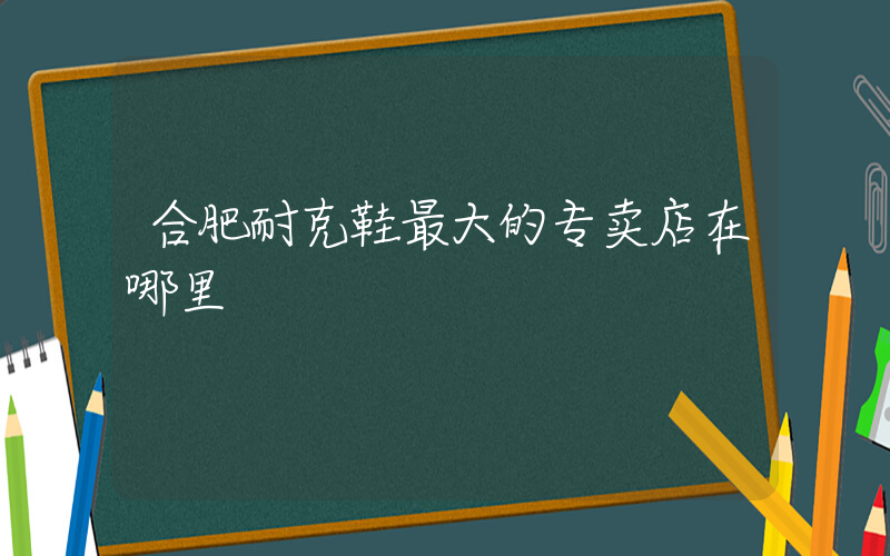 合肥耐克鞋最大的专卖店在哪里插图