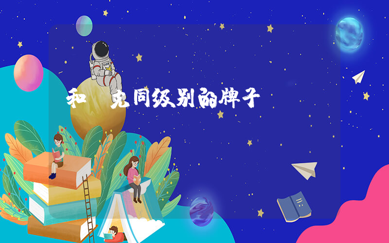 和耐克同级别的牌子插图