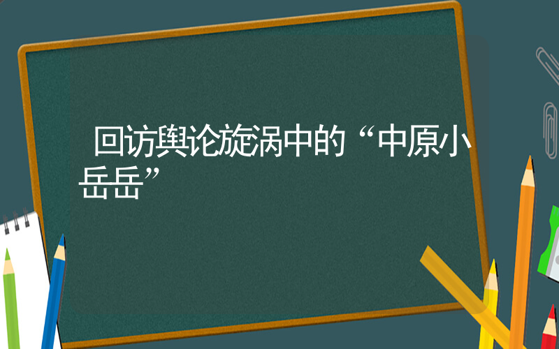 回访舆论旋涡中的“中原小岳岳”插图