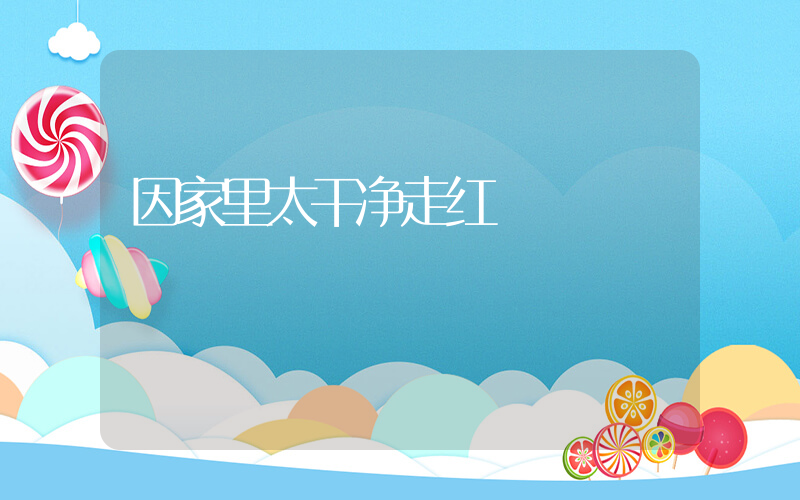 因家里太干净走红插图