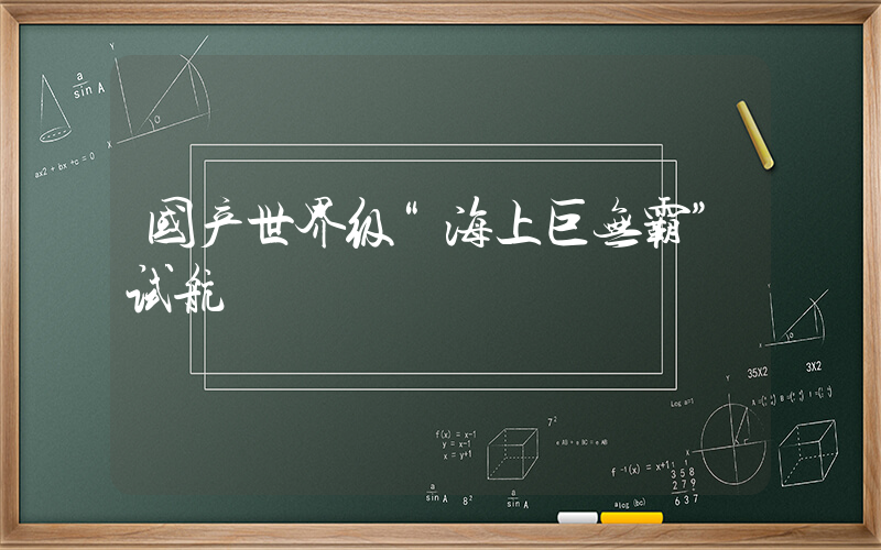 国产世界级“海上巨无霸”试航插图