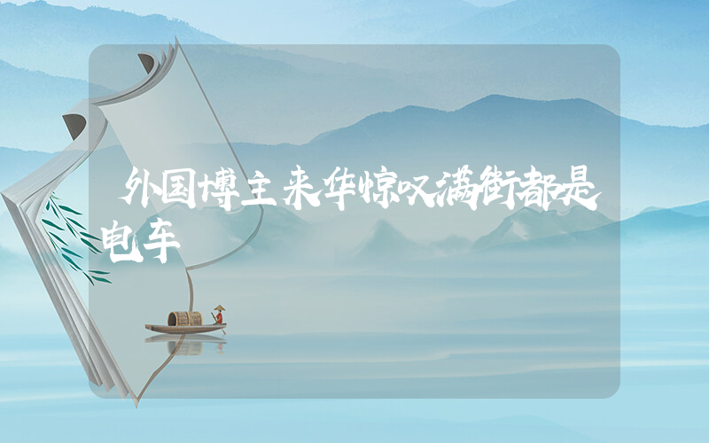 外国博主来华惊叹满街都是电车插图