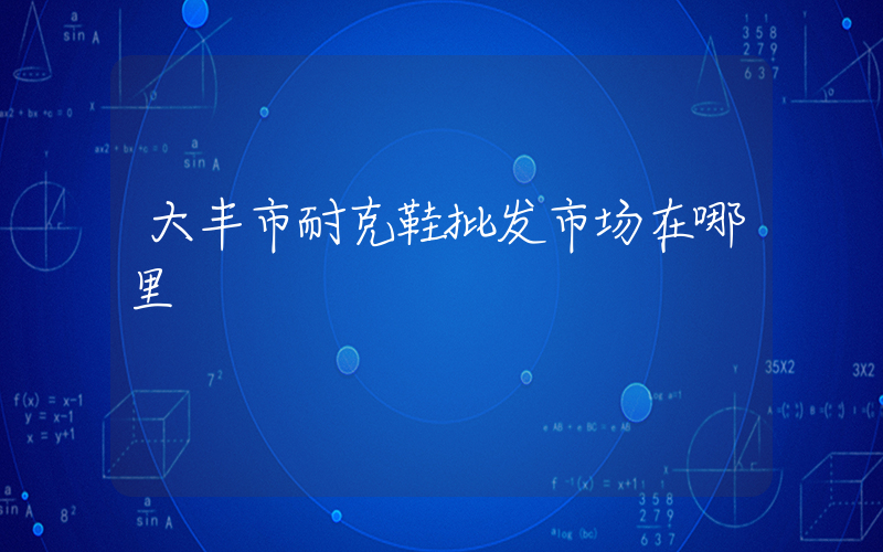 大丰市耐克鞋批发市场在哪里插图