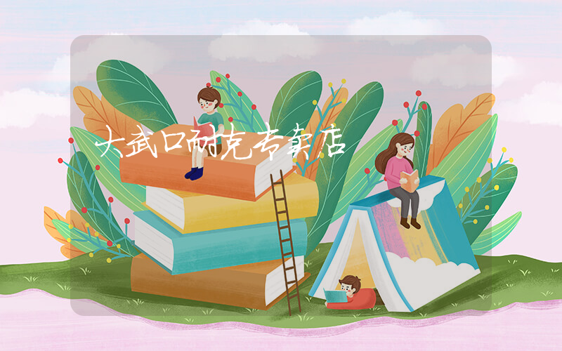 大武口耐克专卖店插图