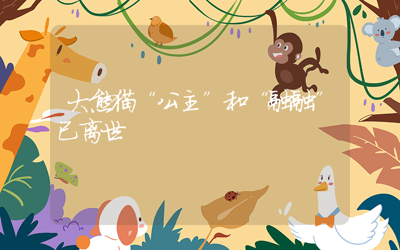 大熊猫“公主”和“融融”已离世插图