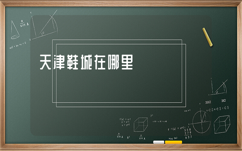 天津鞋城在哪里插图