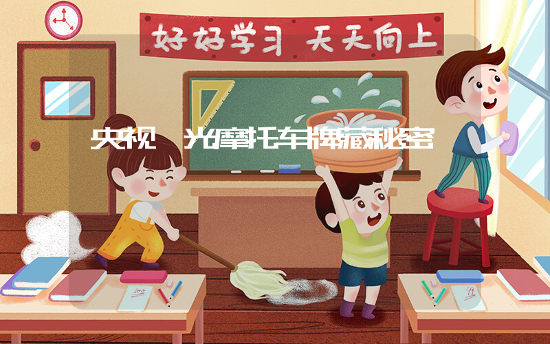 央视曝光摩托车牌藏秘密插图