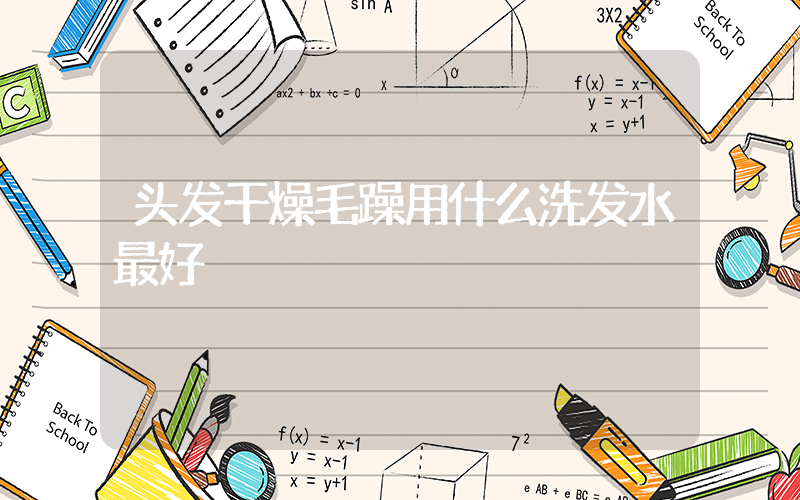 头发干燥毛躁用什么洗发水最好插图