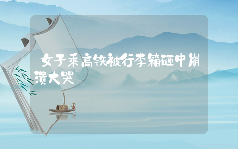 女子乘高铁被行李箱砸中崩溃大哭插图