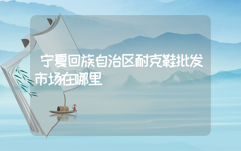 宁夏回族自治区耐克鞋批发市场在哪里插图