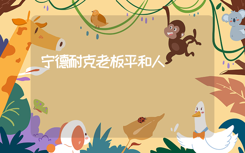 宁德耐克老板平和人插图
