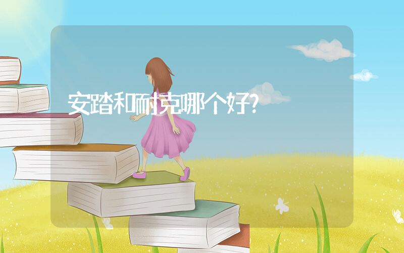 安踏和耐克哪个好？插图