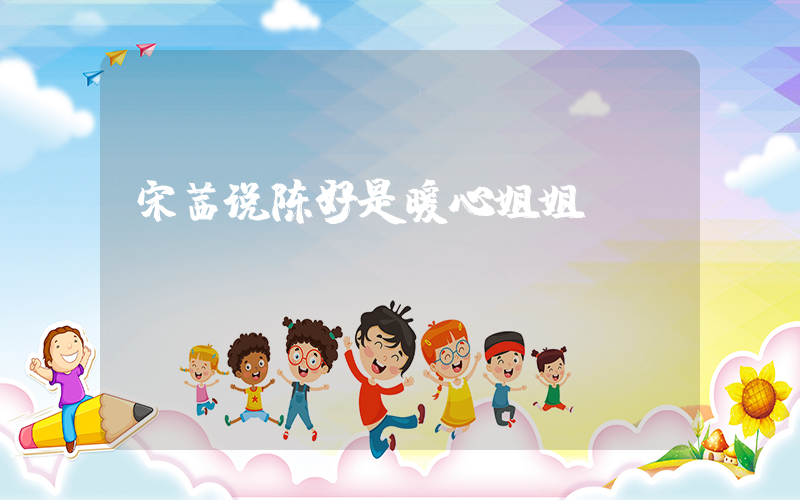 宋茜说陈好是暖心姐姐插图