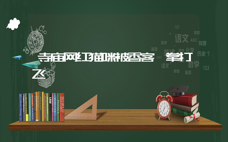 寺庙网红猫咪被香客一拳打飞插图