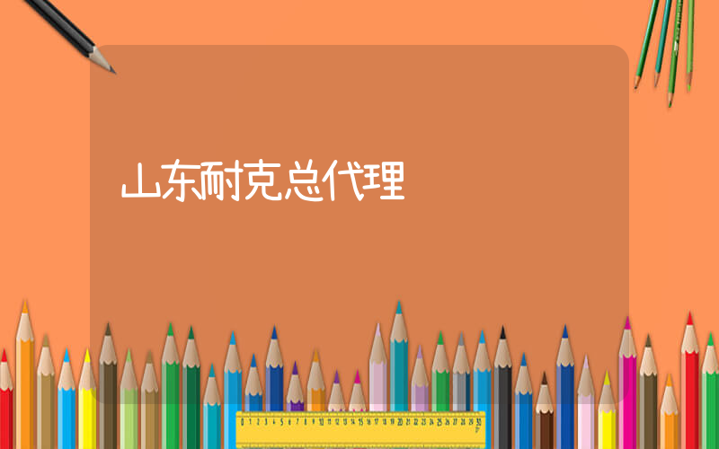 山东耐克总代理插图