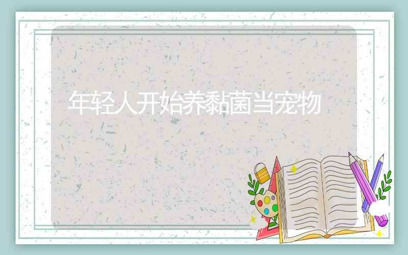 年轻人开始养黏菌当宠物插图