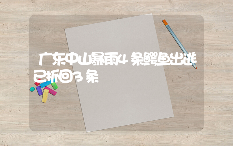 广东中山暴雨4条鳄鱼出逃已抓回3条插图