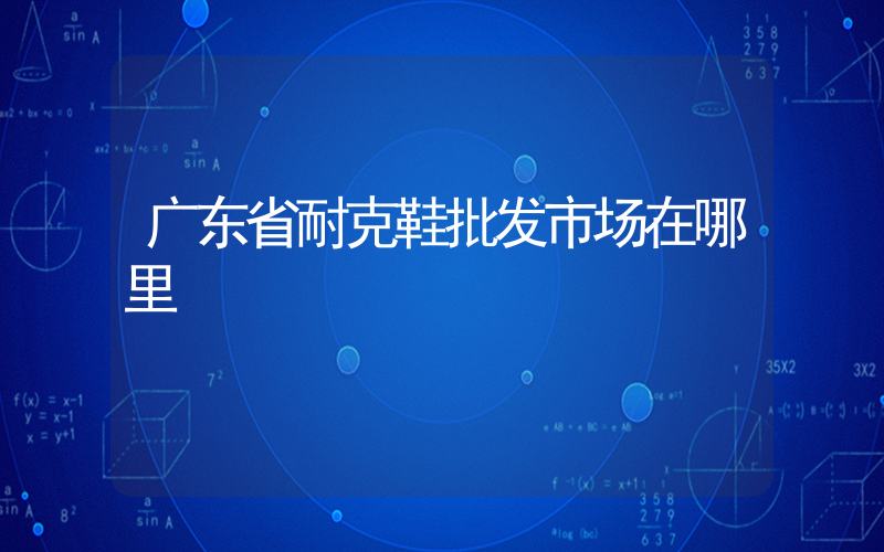 广东省耐克鞋批发市场在哪里插图