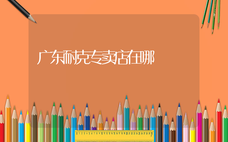 广东耐克专卖店在哪插图