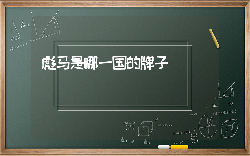 彪马是哪一国的牌子插图