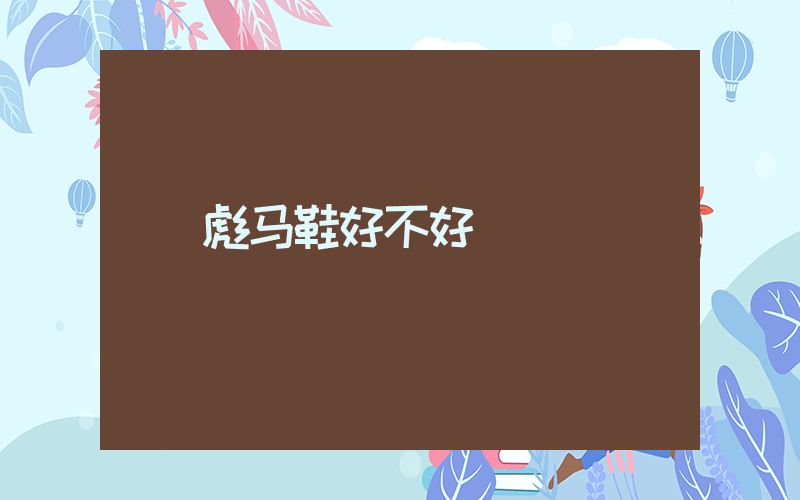 彪马鞋好不好插图 彪马鞋好不好插图