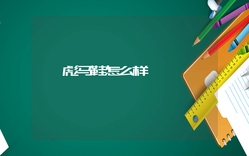 彪马鞋怎么样插图