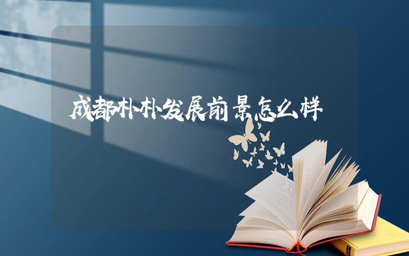 成都朴朴发展前景怎么样插图