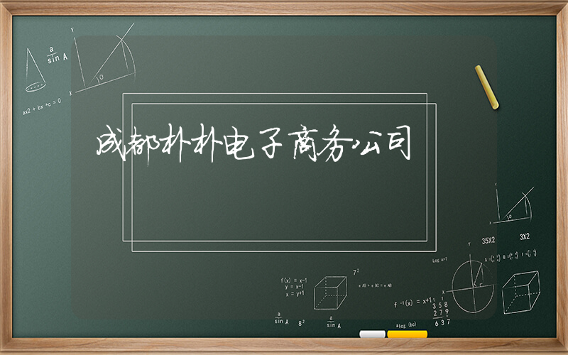 成都朴朴电子商务公司插图