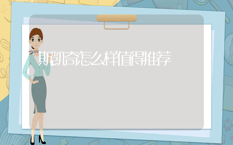 斯凯奇怎么样值得推荐插图