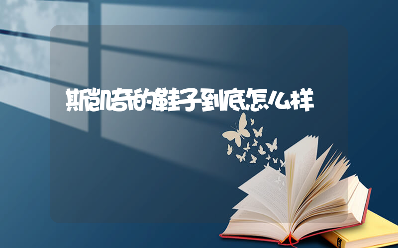 斯凯奇的鞋子到底怎么样插图