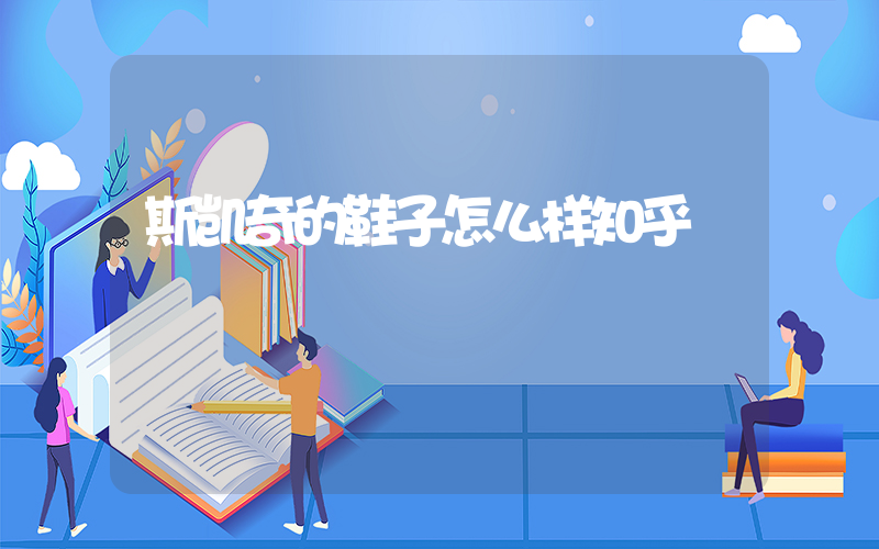 斯凯奇的鞋子怎么样知乎插图