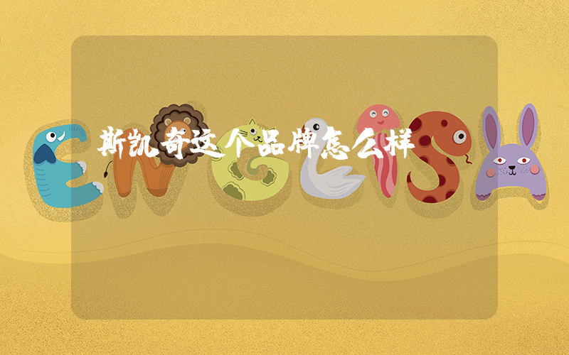 斯凯奇这个品牌怎么样插图