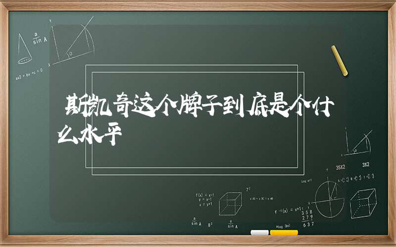 斯凯奇这个牌子到底是个什么水平插图