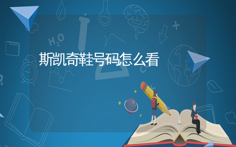 斯凯奇鞋号码怎么看插图