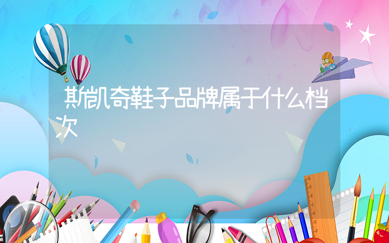 斯凯奇鞋子品牌属于什么档次插图