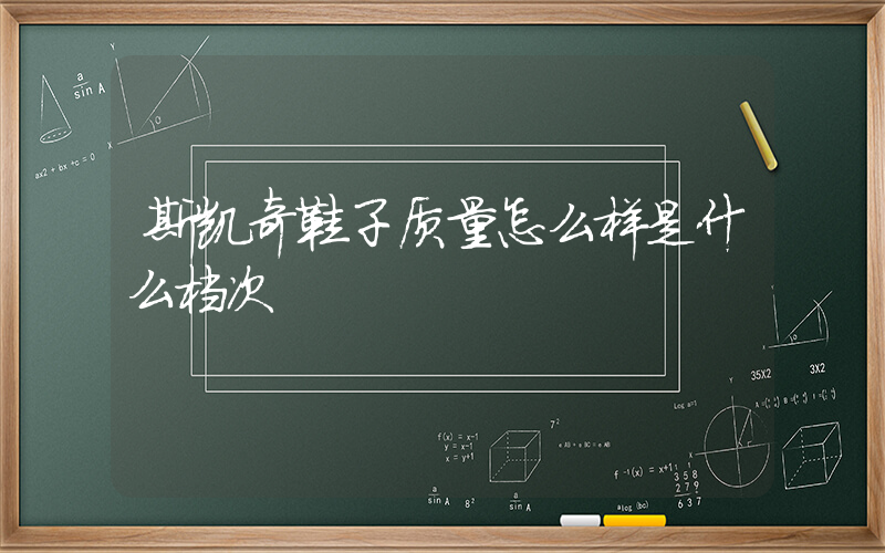 斯凯奇鞋子质量怎么样是什么档次插图