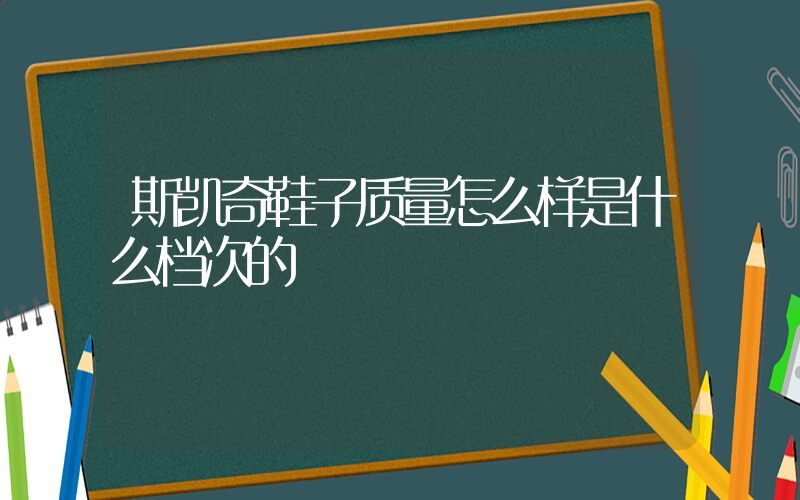 斯凯奇鞋子质量怎么样是什么档次的插图