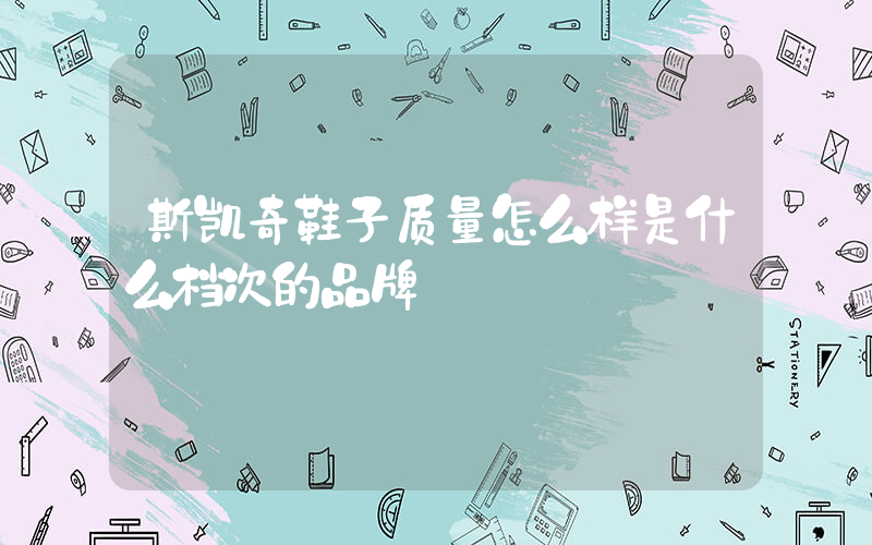 斯凯奇鞋子质量怎么样是什么档次的品牌插图