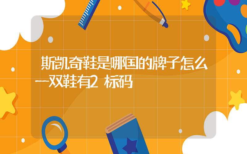 斯凯奇鞋是哪国的牌子怎么一双鞋有2标码插图