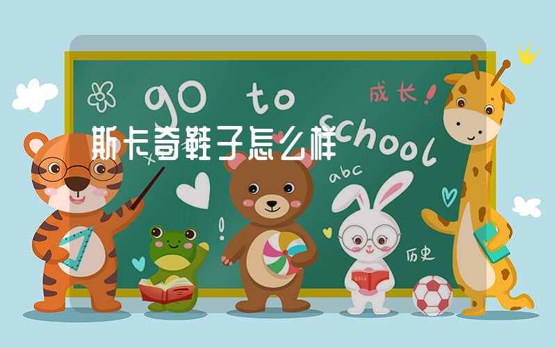 斯卡奇鞋子怎么样插图