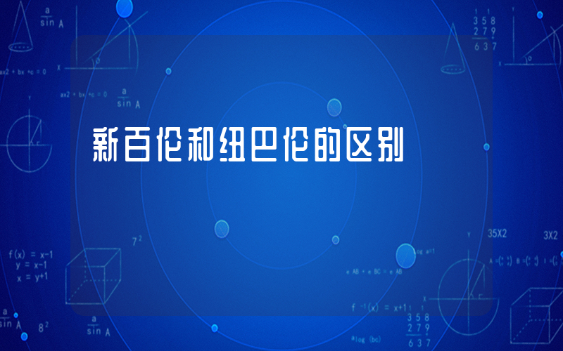 新百伦和纽巴伦的区别插图