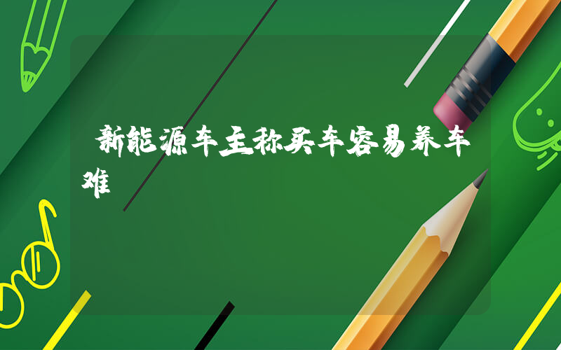 新能源车主称买车容易养车难插图