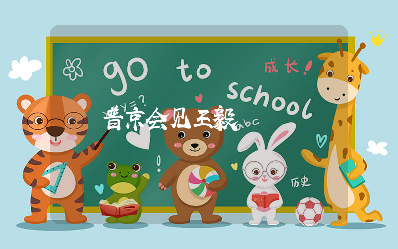 普京会见王毅插图