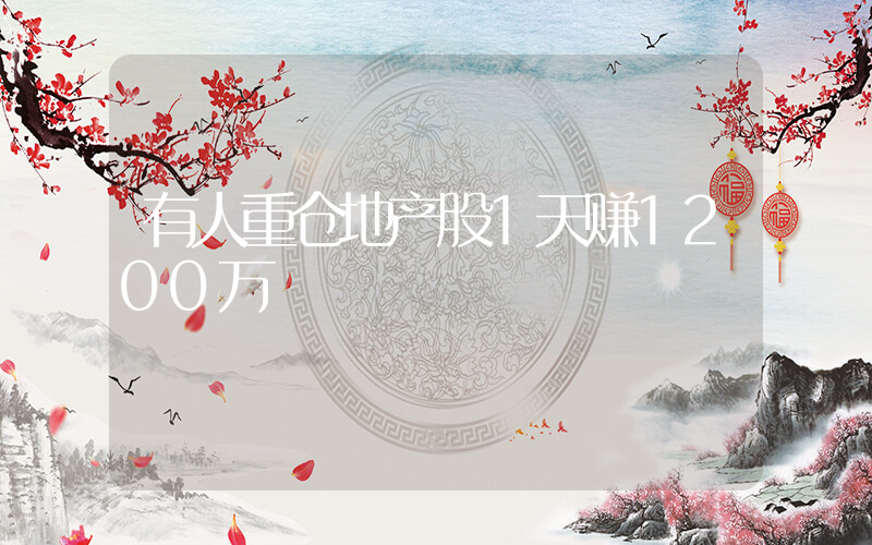 有人重仓地产股1天赚1200万插图
