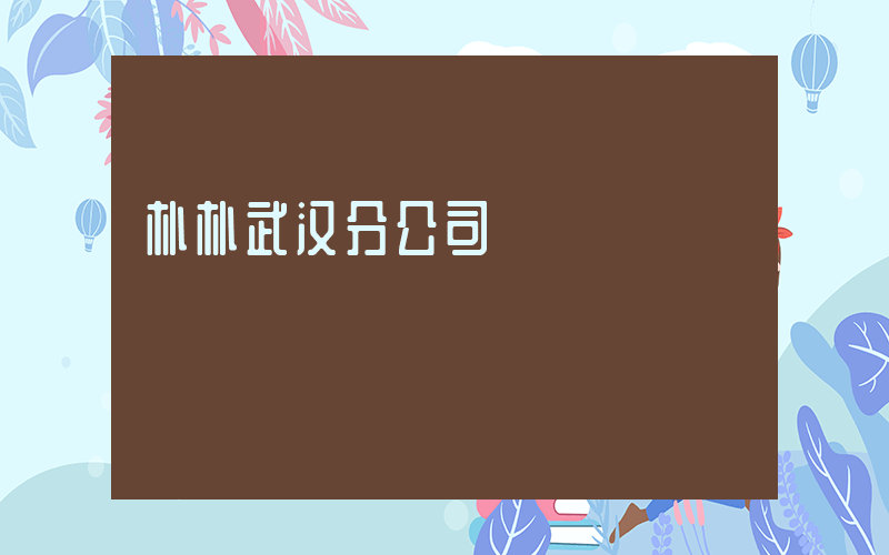 朴朴武汉分公司插图
