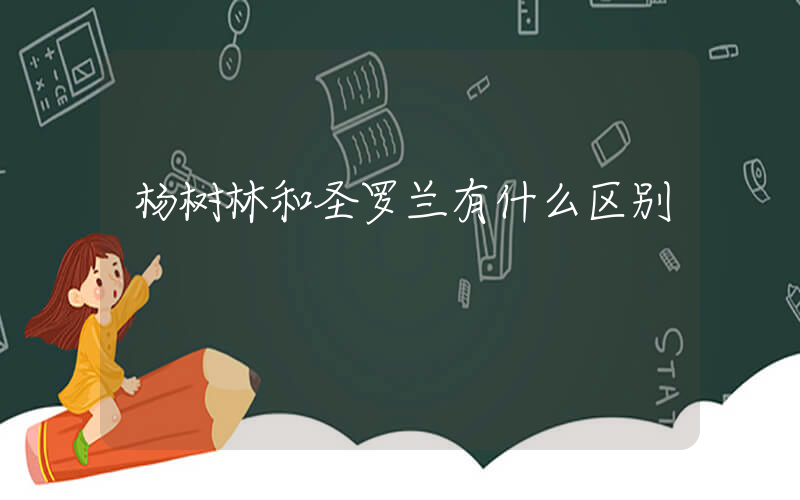 杨树林和圣罗兰有什么区别插图