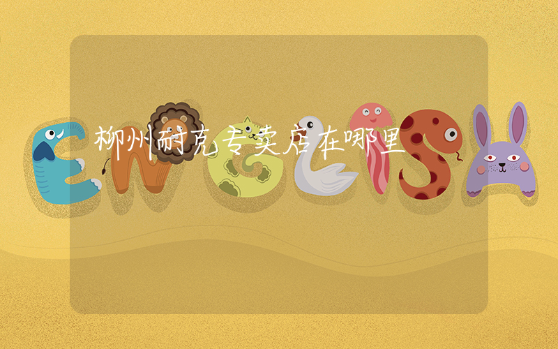 柳州耐克专卖店在哪里插图
